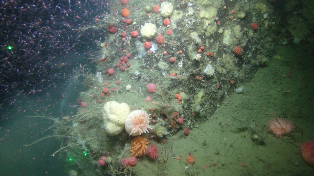 Collaborative research in Nunatsiavut leading to biologically-rich discoveries.