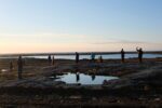 Getting Off the Boat: Re‐Considering Research Responsibility and Knowledge Dynamics in Ocean Literacy