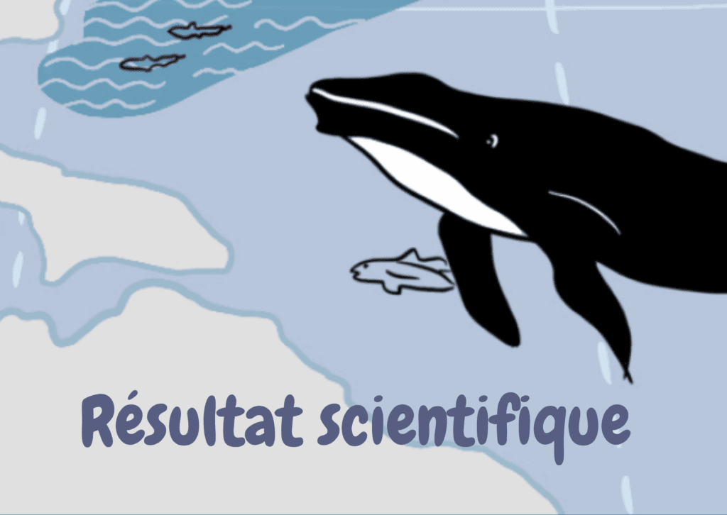 Vulnérabilité de l’écosystème de la polynie des eaux du Nord face aux changements climatiques