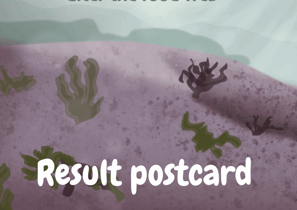 Similarity in phytoplankton photophysiology among under-ice, marginal ice, and open water environments of Baffin Bay (Arctic Ocean)