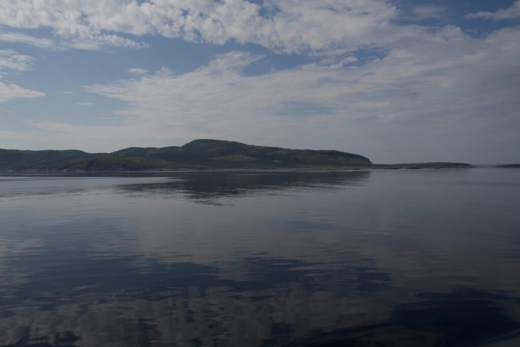 The Transformation of Trace Metal Distributions across the Mackenzie Shelf and through the Northwest Passage