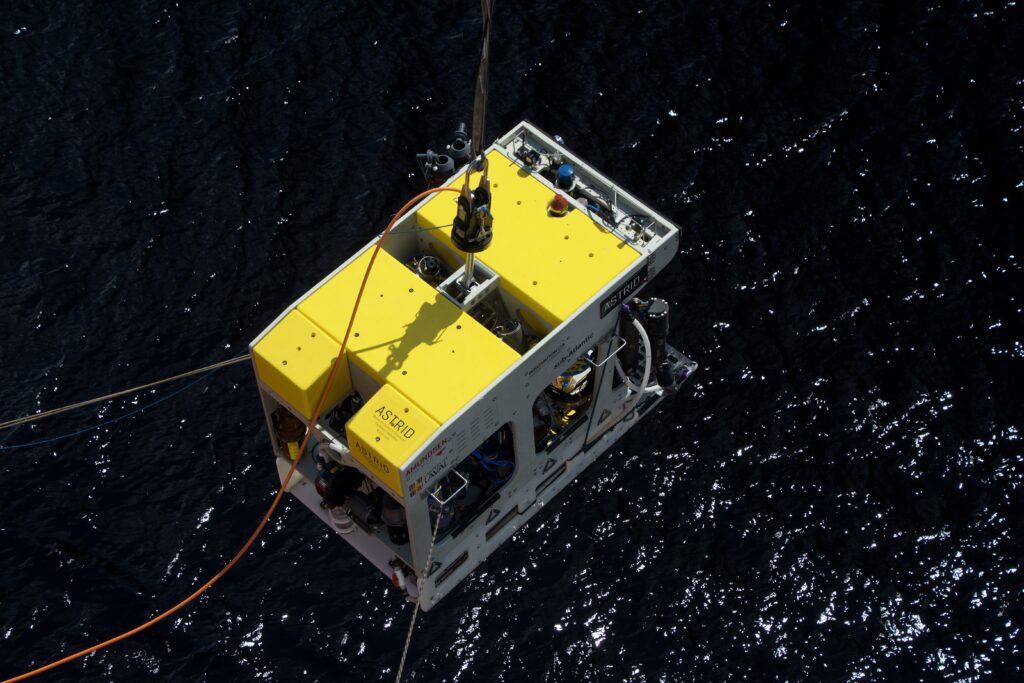 Deep-sea benthic biodiversity and ecosystem functioning in cerianthid fields and adjacent sediments of a subarctic fjord 